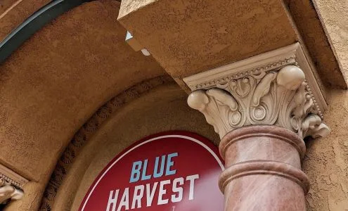 Blue Harvest Apparel business photo